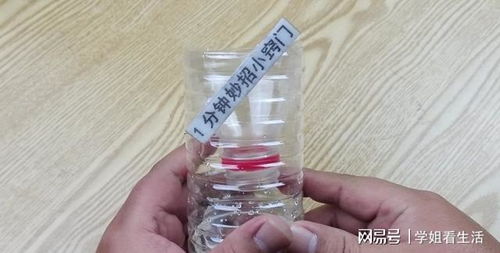 巧用塑料瓶與白糖，輕松安全消滅家中蒼蠅